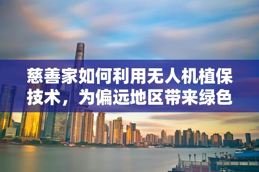 慈善家如何利用无人机植保技术，为偏远地区带来绿色希望？