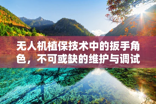 无人机植保技术中的扳手角色，不可或缺的维护与调试工具