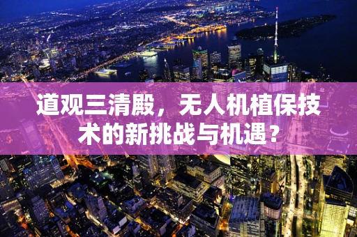 道观三清殿，无人机植保技术的新挑战与机遇？