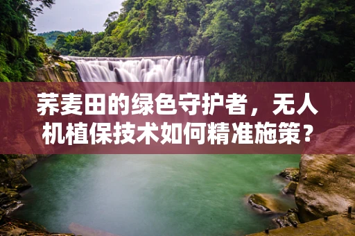 荞麦田的绿色守护者，无人机植保技术如何精准施策？