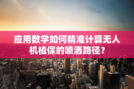 应用数学如何精准计算无人机植保的喷洒路径？