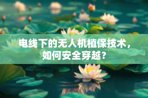 电线下的无人机植保技术，如何安全穿越？