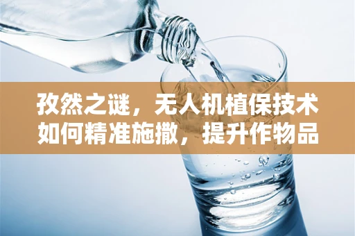 孜然之谜，无人机植保技术如何精准施撒，提升作物品质？