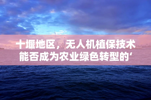 十堰地区，无人机植保技术能否成为农业绿色转型的‘空中引擎’？