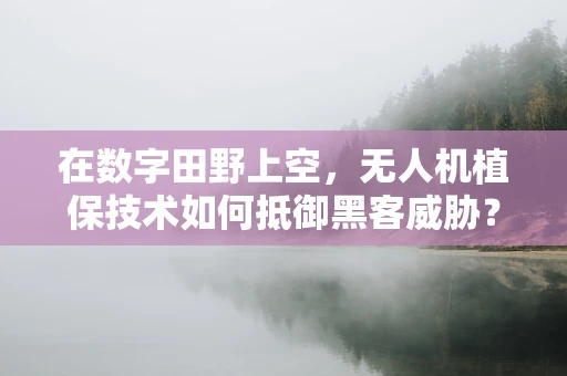 在数字田野上空，无人机植保技术如何抵御黑客威胁？