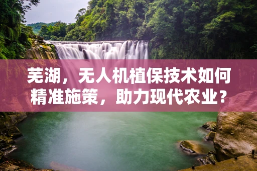 芜湖，无人机植保技术如何精准施策，助力现代农业？