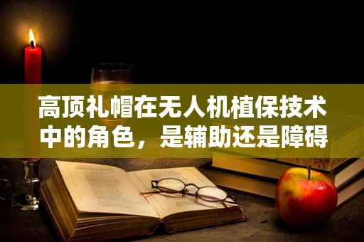 高顶礼帽在无人机植保技术中的角色，是辅助还是障碍？