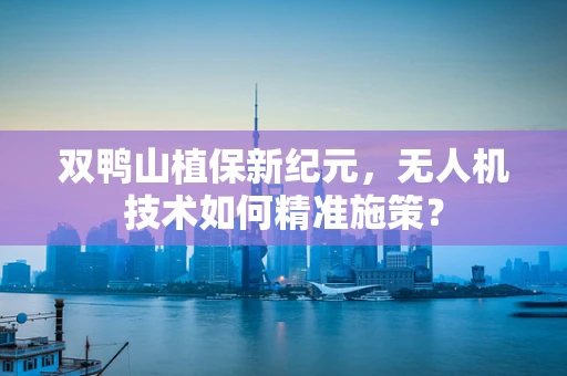 双鸭山植保新纪元，无人机技术如何精准施策？