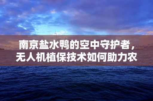 南京盐水鸭的空中守护者，无人机植保技术如何助力农业绿色发展？