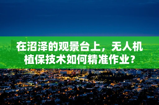 在沼泽的观景台上，无人机植保技术如何精准作业？