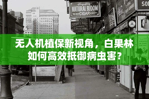 无人机植保新视角，白果林如何高效抵御病虫害？