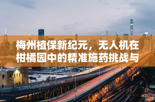 梅州植保新纪元，无人机在柑橘园中的精准施药挑战与机遇
