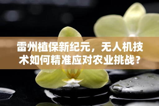 雷州植保新纪元，无人机技术如何精准应对农业挑战？
