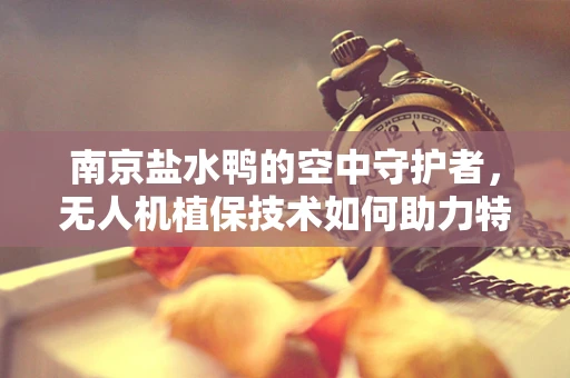 南京盐水鸭的空中守护者，无人机植保技术如何助力特色农产品安全？