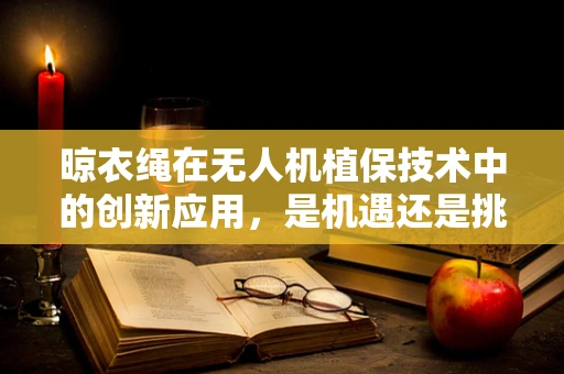 晾衣绳在无人机植保技术中的创新应用，是机遇还是挑战？