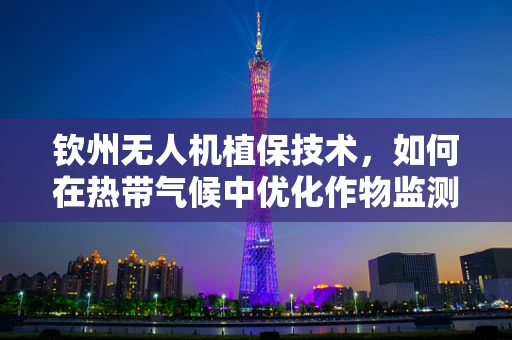 钦州无人机植保技术，如何在热带气候中优化作物监测与喷洒？