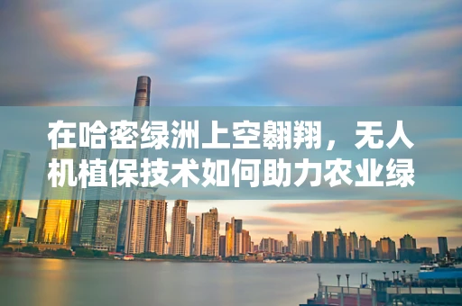 在哈密绿洲上空翱翔，无人机植保技术如何助力农业绿色革命？