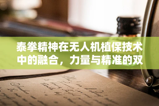 泰拳精神在无人机植保技术中的融合，力量与精准的双重挑战
