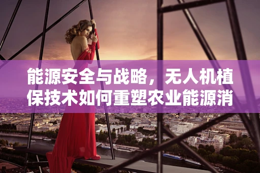 能源安全与战略，无人机植保技术如何重塑农业能源消耗格局？