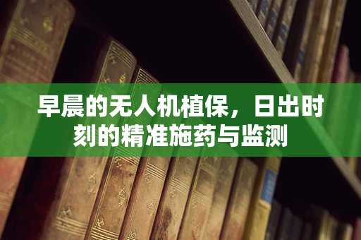 早晨的无人机植保，日出时刻的精准施药与监测