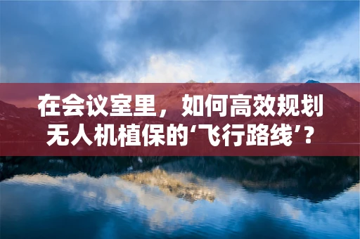 在会议室里，如何高效规划无人机植保的‘飞行路线’？