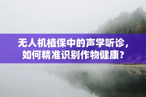 无人机植保中的声学听诊，如何精准识别作物健康？