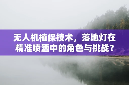 无人机植保技术，落地灯在精准喷洒中的角色与挑战？