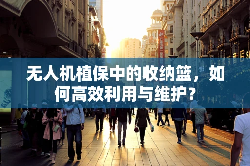 无人机植保中的收纳篮，如何高效利用与维护？