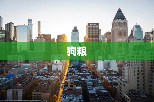 狗粮