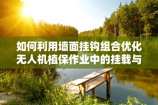 如何利用墙面挂钩组合优化无人机植保作业中的挂载与取放？