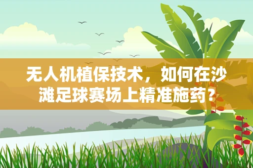 无人机植保技术，如何在沙滩足球赛场上精准施药？