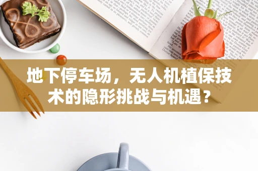 地下停车场，无人机植保技术的隐形挑战与机遇？
