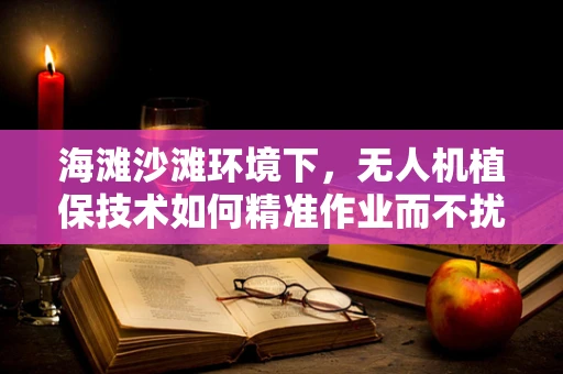 海滩沙滩环境下，无人机植保技术如何精准作业而不扰民？