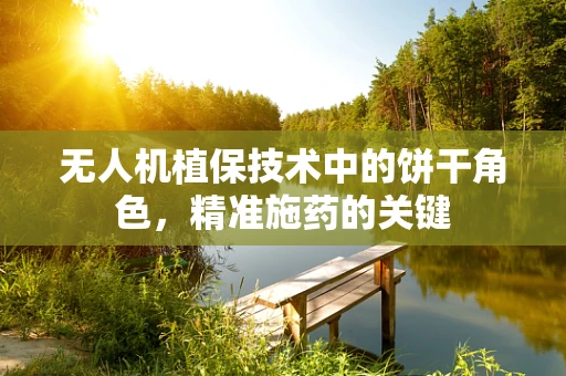 无人机植保技术中的饼干角色，精准施药的关键