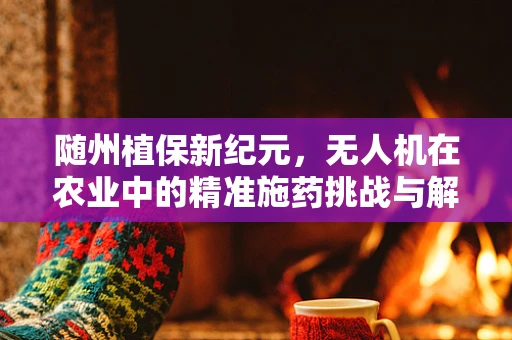 随州植保新纪元，无人机在农业中的精准施药挑战与解决方案