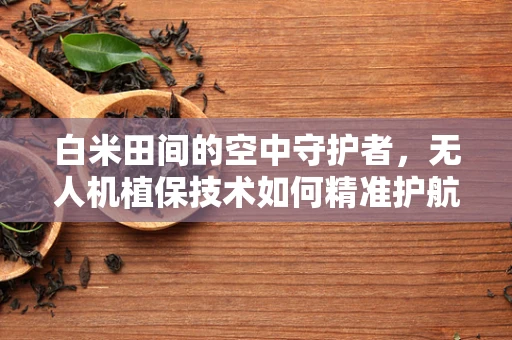 白米田间的空中守护者，无人机植保技术如何精准护航？