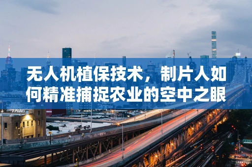 无人机植保技术，制片人如何精准捕捉农业的空中之眼？
