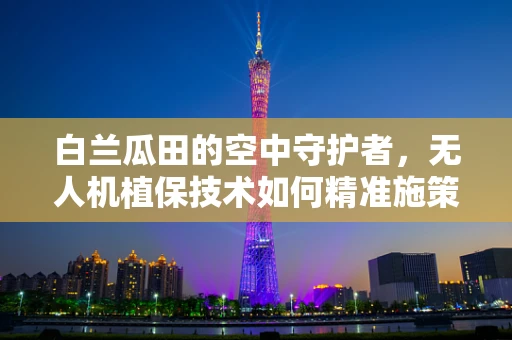 白兰瓜田的空中守护者，无人机植保技术如何精准施策？
