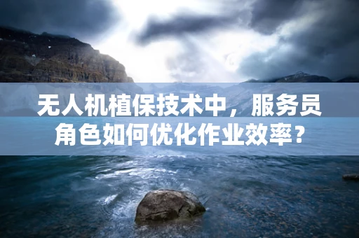 无人机植保技术中，服务员角色如何优化作业效率？