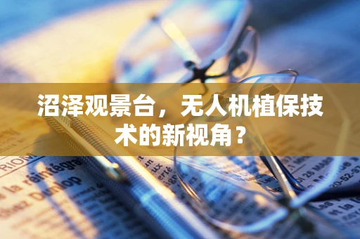 沼泽观景台，无人机植保技术的新视角？