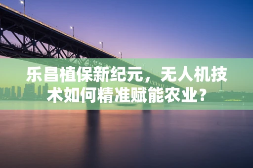 乐昌植保新纪元，无人机技术如何精准赋能农业？