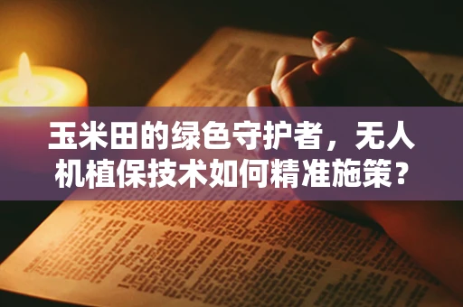 玉米田的绿色守护者，无人机植保技术如何精准施策？