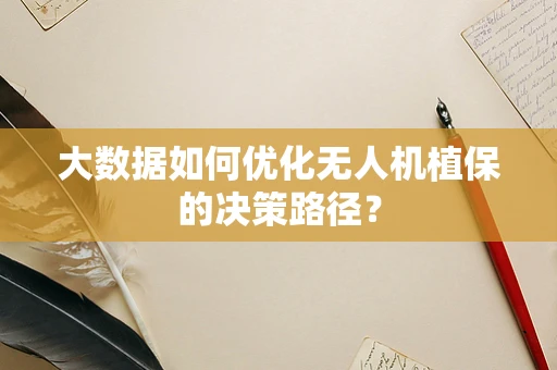 大数据如何优化无人机植保的决策路径？