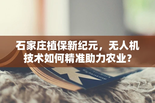石家庄植保新纪元，无人机技术如何精准助力农业？