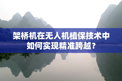 架桥机在无人机植保技术中如何实现精准跨越？