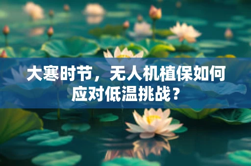 大寒时节，无人机植保如何应对低温挑战？