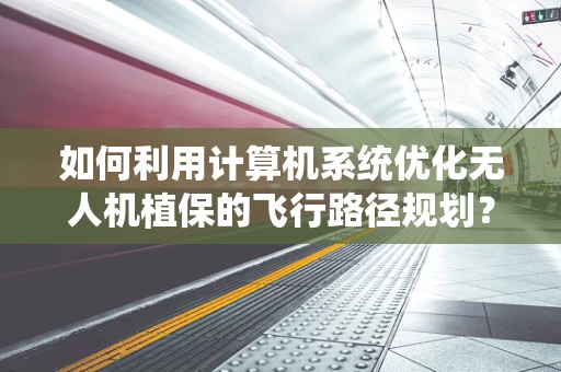 如何利用计算机系统优化无人机植保的飞行路径规划？