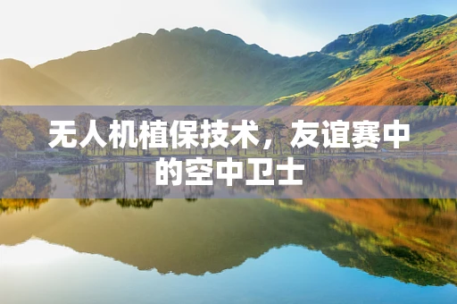 无人机植保技术，友谊赛中的空中卫士