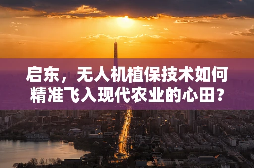 启东，无人机植保技术如何精准飞入现代农业的心田？