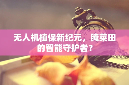 无人机植保新纪元，腌菜田的智能守护者？